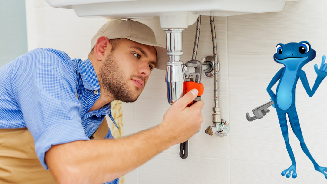 plumbing maintenance